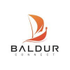 Baldur Connect