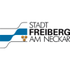 Stadt Freiberg a. N.